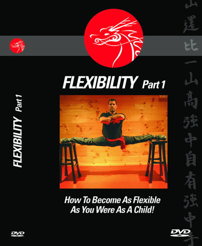 FLEXIBILITY (How To Become As Flexible As You Were As A Child!