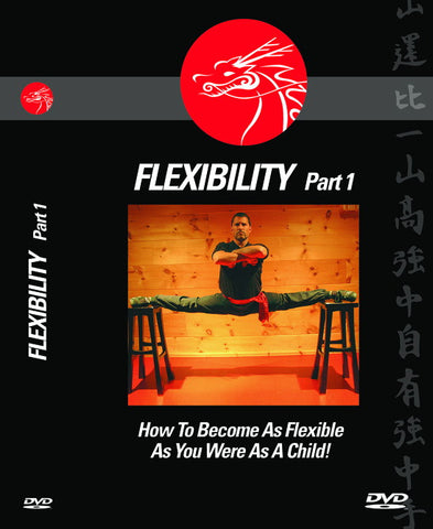 FLEXIBILITY (How To Become As Flexible As You Were As A Child!